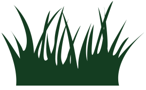 landscape icon